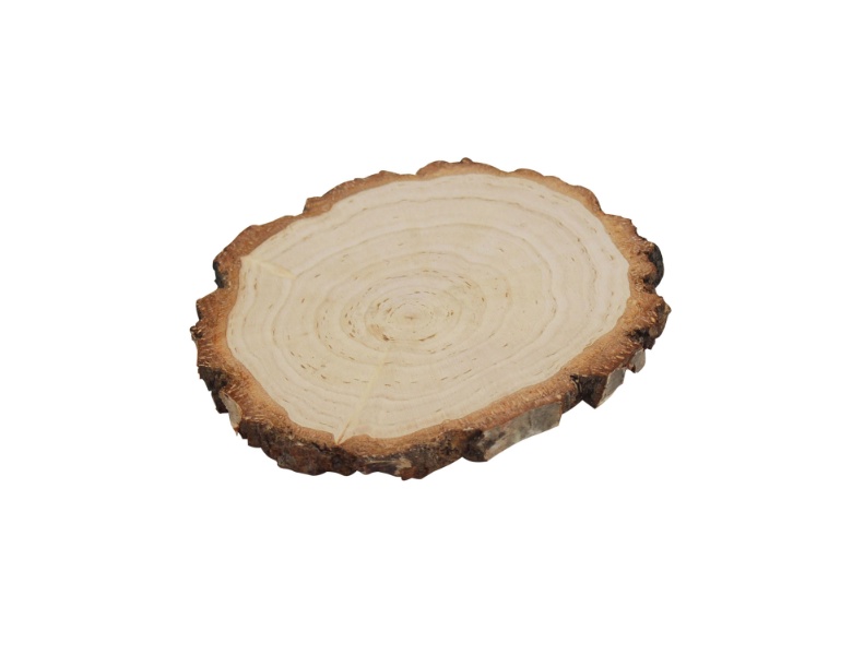 Playwood Baumrinde Birkenholz,  13-15cm