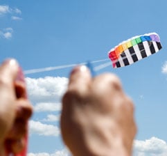 Aquiloni a controllo
