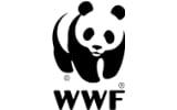 Spielzeug von WWF