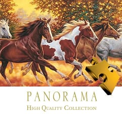 Panorama Puzzle