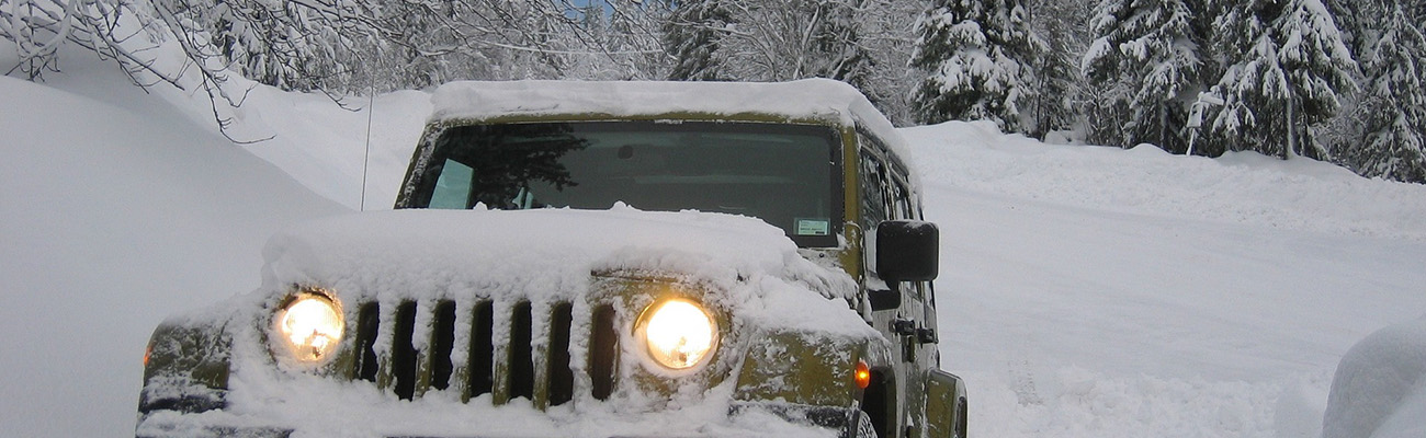 Alles von Jeep entdecken