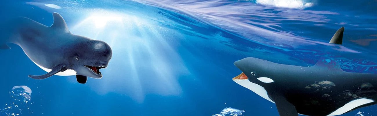 Safari Ltd. Sea Life � Faszinierende Meerestiere entdecken und sammeln