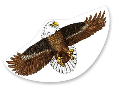 Kinderdrachen Seeadler