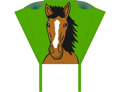 Bronco
