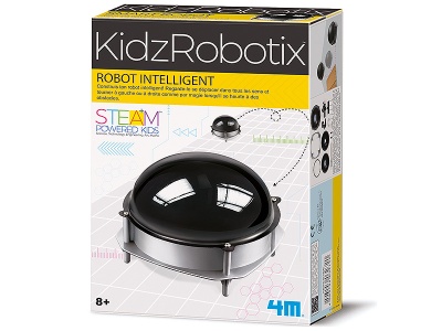 Intelligenter Roboter