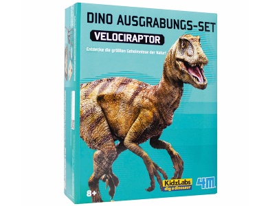 Dinosaurier Ausgrabung Velociraptor