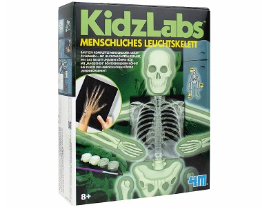 Menschliches Leuchtskelett mult