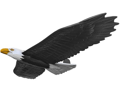 Wurfgleiter Real Flyer Adler
