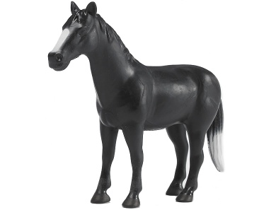 Pferd Schwarz