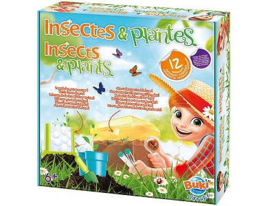 Insekten und Pflanzen