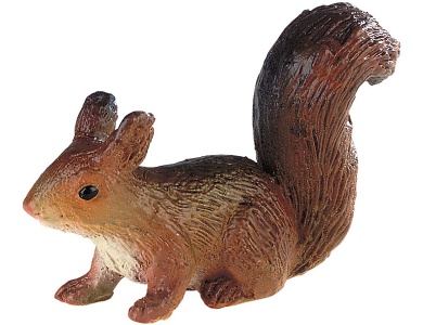 Eichhörnchen