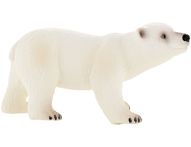 Eisbär Junges
