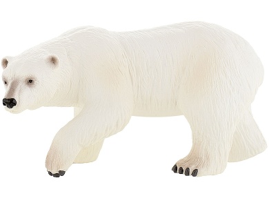 Eisbär