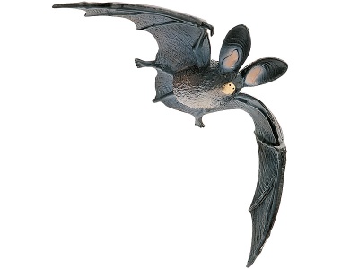 Fledermaus