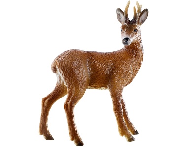Rehbock