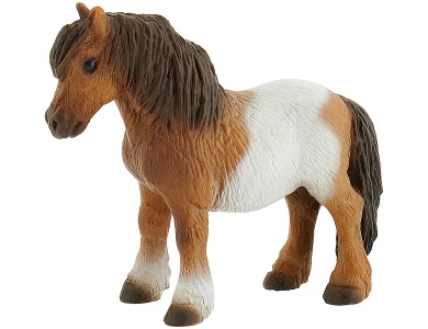 Shetland Pony
