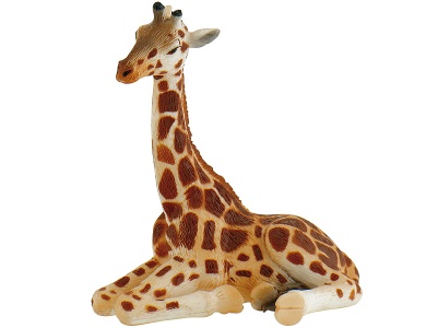 Giraffenjunges