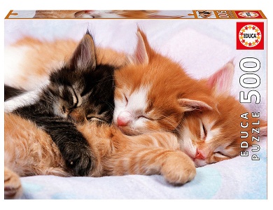 Katzenkinder 500Teile