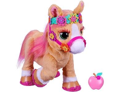 Cinnamon, mein stylisches Pony