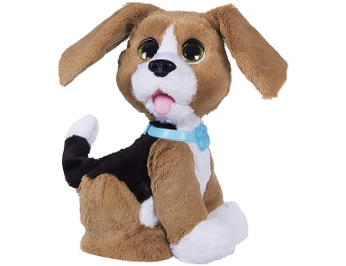 Benni, der sprechende Beagle