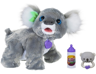 Koala Kristy