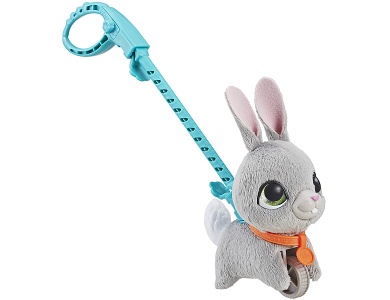 Hase