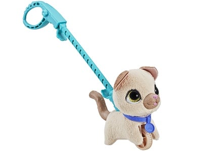 Katze