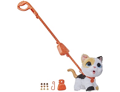 Grosse Racker Katze