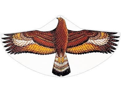 Gnther Einleiner-Drachen Steinadler