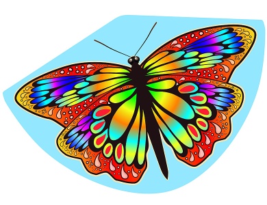 Kinderdrachen Papillon