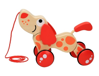 Hündchen Puppy