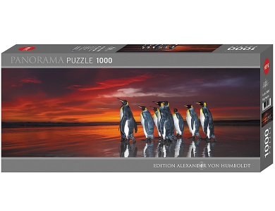 King Penguins 1000Teile