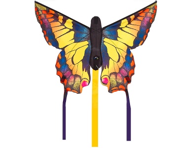 Kite Swallowtail R