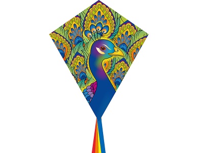 Drachen Peacock