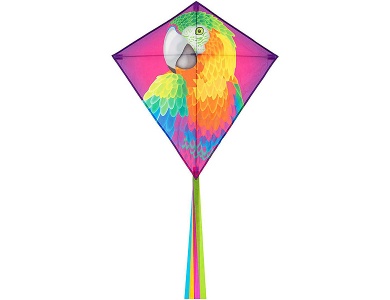Kinderdrachen Eddy Parrot