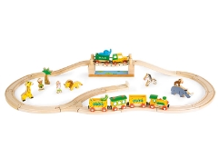Express Safari