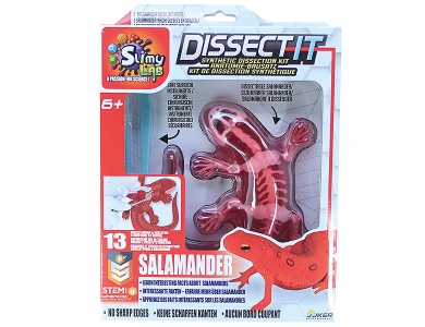 Salamander