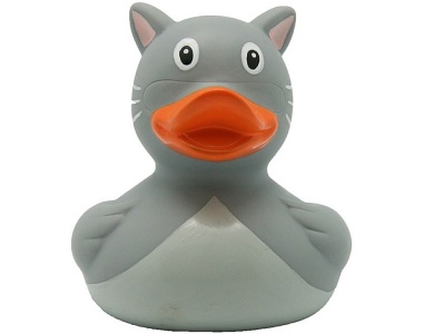 Badeente Katze