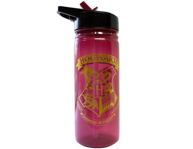 Kids Licensing Trinkflasche (600ml)