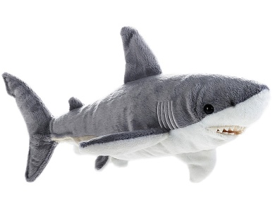 Hai 40cm