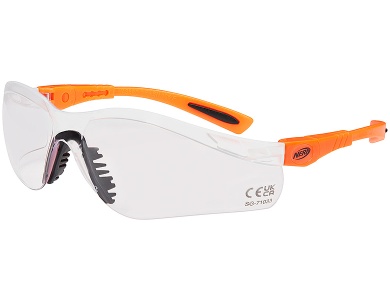 Schutzbrille