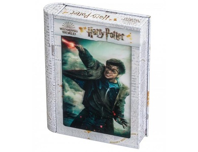 3D Puzzle Harry Potter in Sammlerbox 300Teile