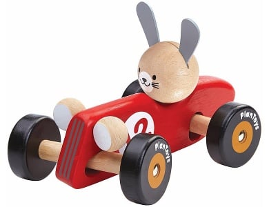 Hase im Rennwagen