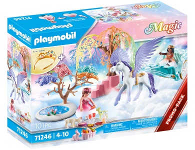 Picknick mit Pegasuskutsche 71246