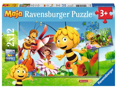 Auf der Blumenwiese 2x12