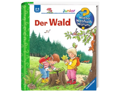 Der Wald Nr.6