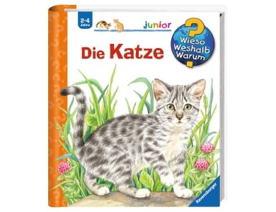 Die Katze Nr.21
