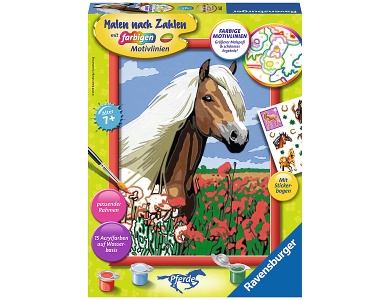 Haflinger