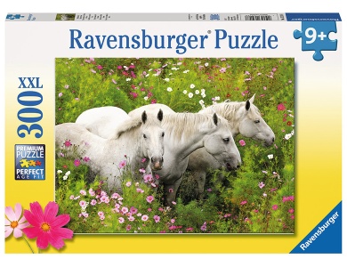 Pferde auf der Blumenwiese 300XXL