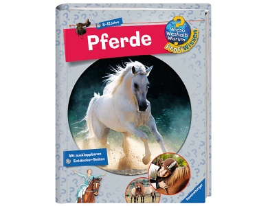 Pferde Nr.4